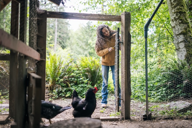 防关联浏览器哪个好用点？有什么好用的防关联浏览器推荐？